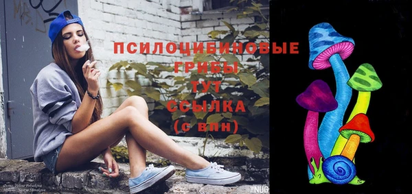 ПСИЛОЦИБИНОВЫЕ ГРИБЫ Саяногорск