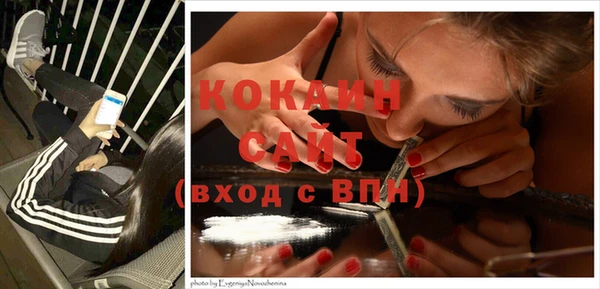 ПСИЛОЦИБИНОВЫЕ ГРИБЫ Саяногорск